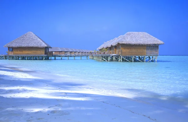 Dream Holiday Maldives Island — Stock Photo, Image