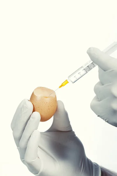 Єкційне Яйце Експерименту — стокове фото
