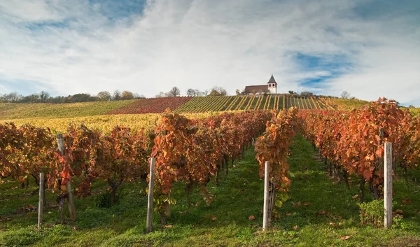 Martin Church Autumn — Stock Photo, Image