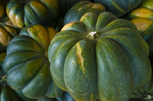 Naturskön Syn Jordbruket Selektiv Inriktning — Stockfoto