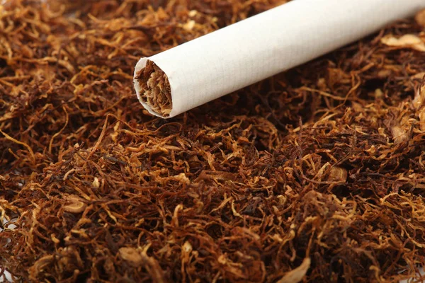 Dependência Tabaco Cigarros Chão — Fotografia de Stock