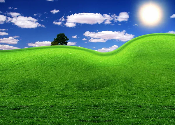 Hierba Verde Cielo Azul —  Fotos de Stock