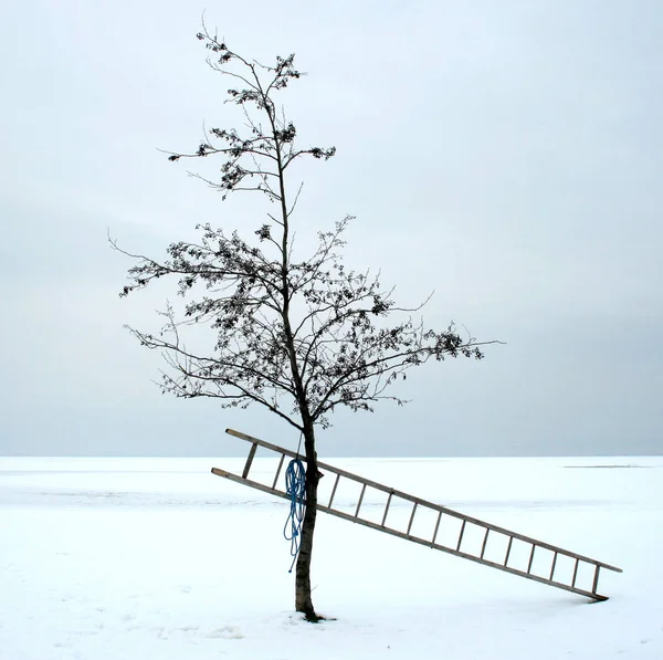 Prachtig Uitzicht Het Winterlandschap — Stockfoto