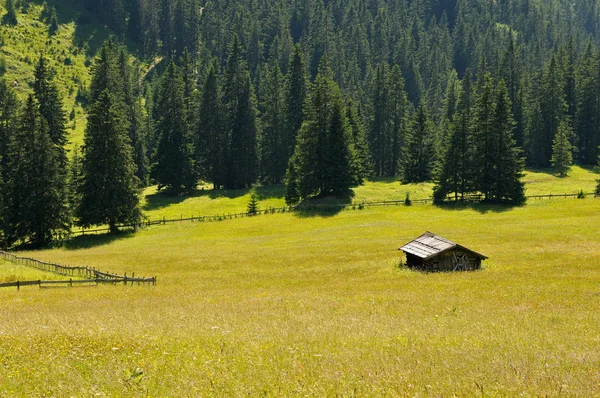 Альпійська Хатина Гірському Лузі — стокове фото