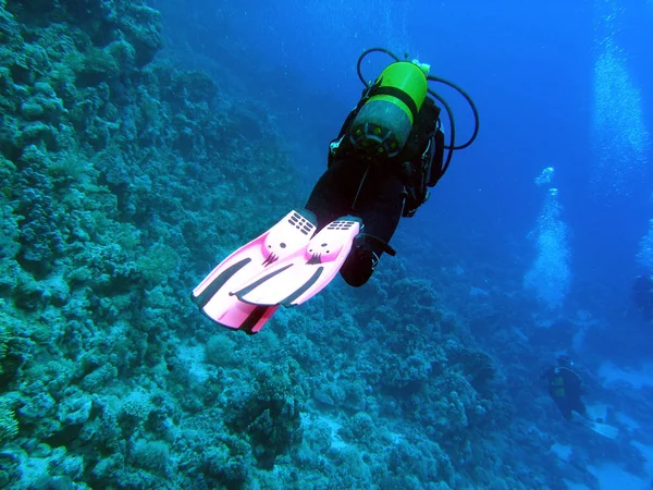 Maldiverna Semester Ett Paradis — Stockfoto