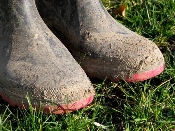 Çimlerde Eski Ayakkabılar — Stok fotoğraf