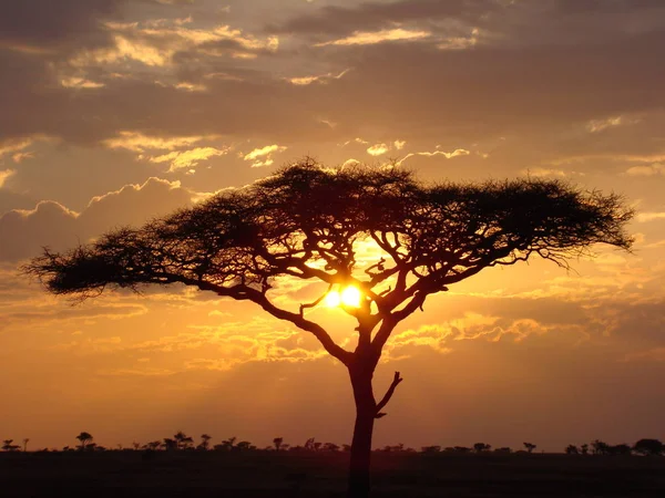 Прекрасний Вид Захід Сонця — стокове фото