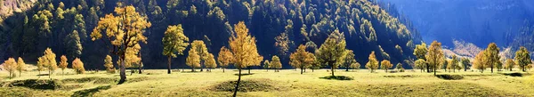 Schilderachtig Uitzicht Prachtig Alpenlandschap — Stockfoto