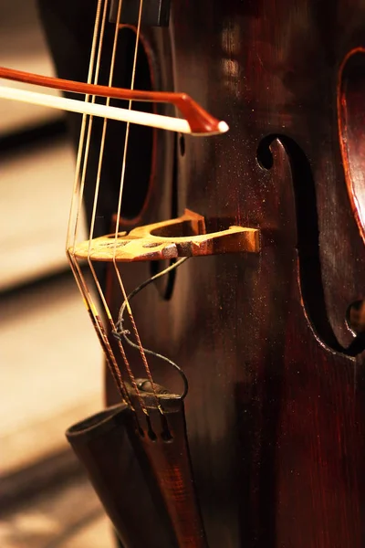 바이올린을 가까이 — 스톡 사진