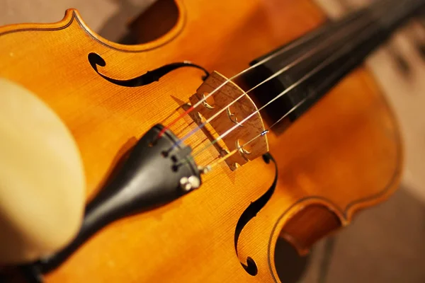 Violín Instrumento Musical Primer Plano — Foto de Stock