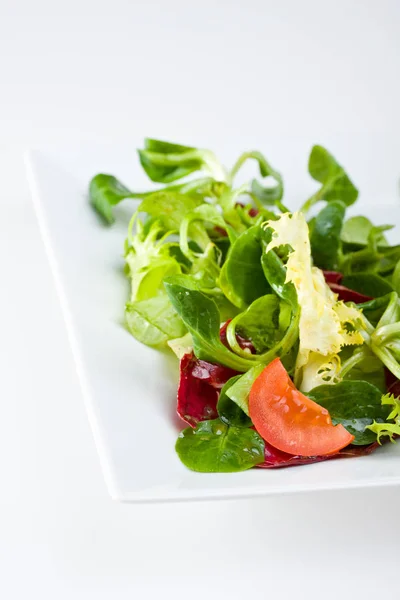 Detalj Blandad Sallad Vit Platta — Stockfoto