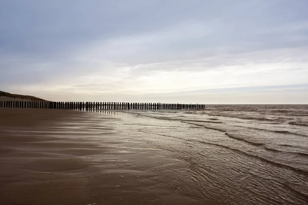 Vue Panoramique Des Dunes Mise Point Sélective — Photo