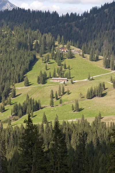 Schöne Aussicht Auf Die Natur — Stockfoto