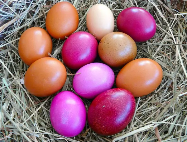 Traditionella Påskägg Färgglada Ägg — Stockfoto