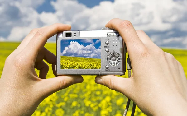 Pintoresca Vista Del Hermoso Paisaje Primavera — Foto de Stock