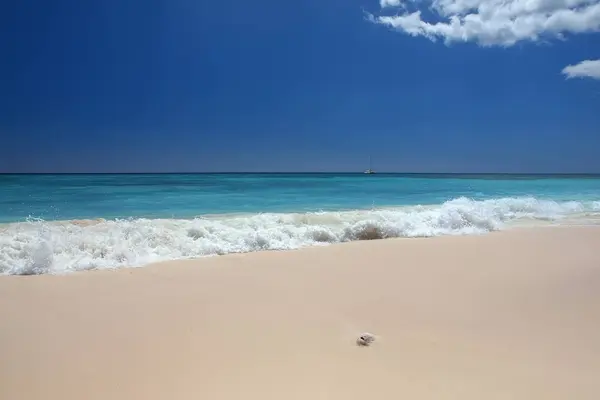 Saona Insel Der Karibik Ein Tropischer Traum — Stockfoto