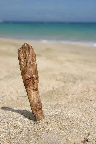 Beautiful View Seashore — Stock Photo, Image