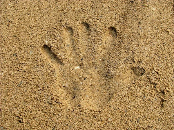 Отпечаток Руки Песке — стоковое фото