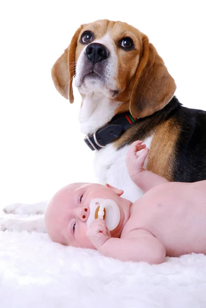 Close Portret Van Schattig Kind — Stockfoto