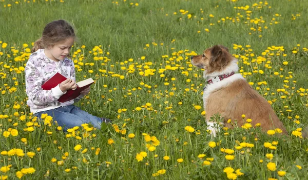 Schattig Kinderportret Gelukkig Kinderconcept — Stockfoto