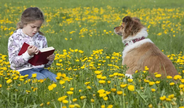 Küçük Kız Tarlada Kitap Okuyor — Stok fotoğraf