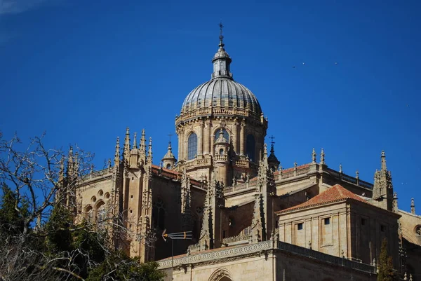 New Cathedral Dome Salamanque Espagne — Photo
