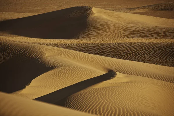 Αμμόλοφους Της Ερήμου Της Σαχάρας — Φωτογραφία Αρχείου