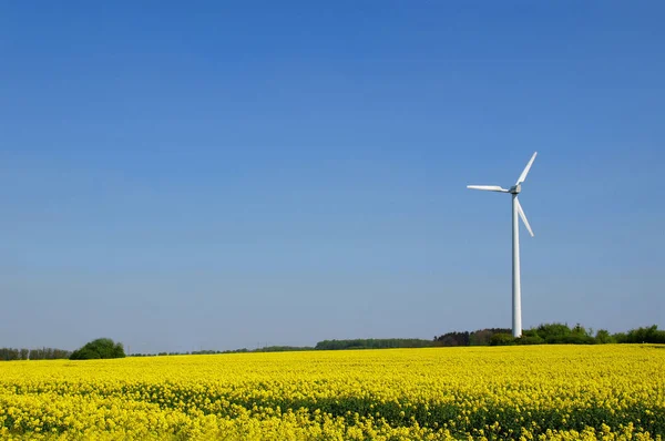 Turbina Eólica Energía Eólica — Foto de Stock