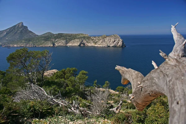 Akdeniz Deki Mallorca Adaları — Stok fotoğraf