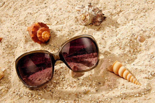 Gafas Sol Estrellas Mar Playa — Foto de Stock