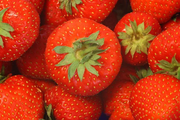 Berries Close Shot Conceito Alimentar Saudável — Fotografia de Stock