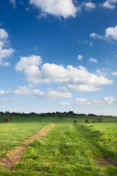 Beautiful View Nature Scenery — Stock Photo, Image