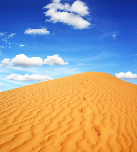 Deserto Sabbioso Paesaggio Dunistico — Foto Stock