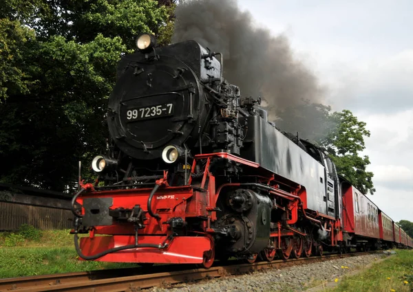 Järnvägsresa Genom Harz — Stockfoto