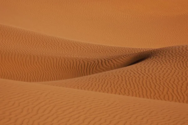 Sanddyner Saharaöknen — Stockfoto