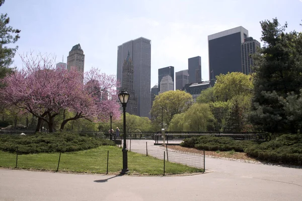 Primavera Nueva York — Foto de Stock