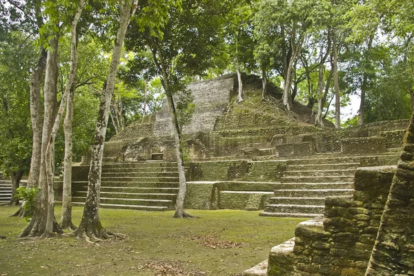 Arquitectura Diferente Enfoque Selectivo — Foto de Stock