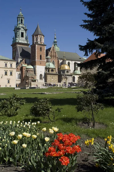 Scenic View Beautiful Historical Architecture — Stock Photo, Image