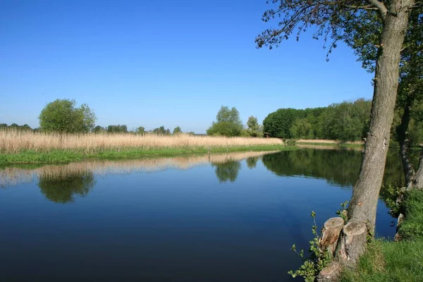 Gyönyörű Kilátás Nyílik Természet Jelenet — Stock Fotó