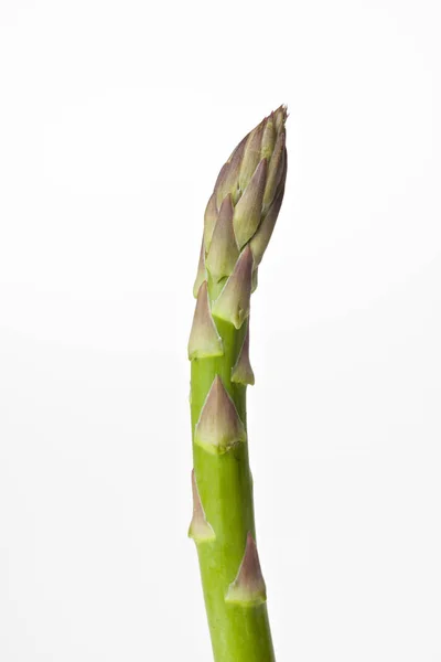 Green Asparagus Isolated White Background — Stock Photo, Image