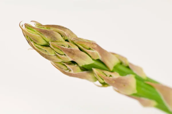 Plantaardige Voeding Biologische Asperges — Stockfoto