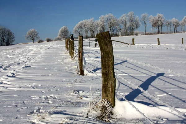 Paisagem Inverno Com Cerca — Fotografia de Stock