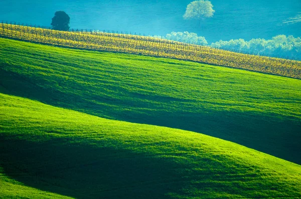 Vedere Pitorească Scenei Naturii — Fotografie, imagine de stoc