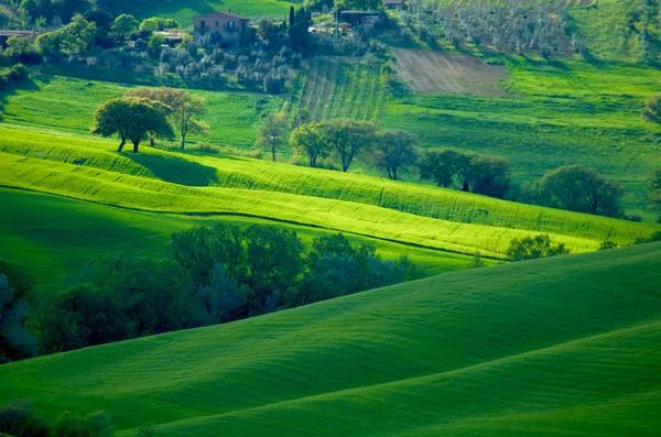 Scenic View Countryside Selective Focus — Stock Photo, Image