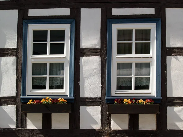 Zwei Fenster Mit Blumenkästen — Stockfoto