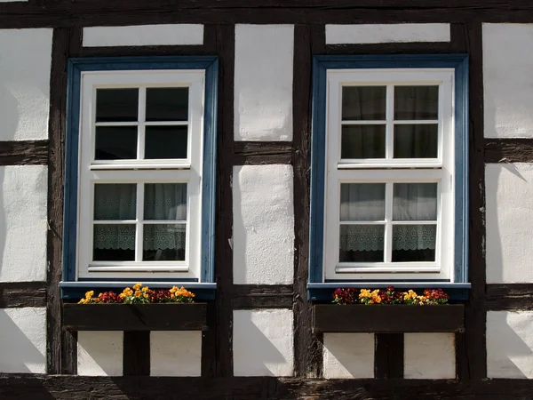 Dos Ventanas Con Cajas Flores — Foto de Stock