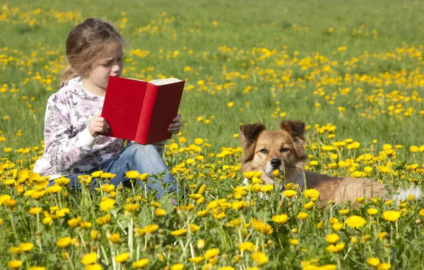 Kleines Mädchen Liest Auf Der Wiese Ein Buch — Stockfoto