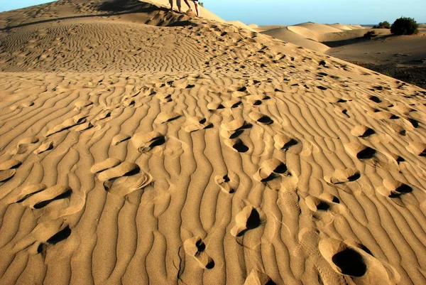 Woestijn Zand Oppervlak Geologie — Stockfoto