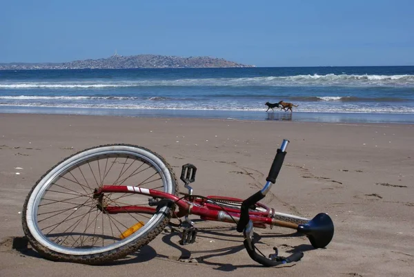 Bicicletta Sulla Spiaggia — Foto Stock