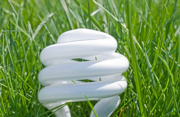 Compact fluorescent light bulb in grass